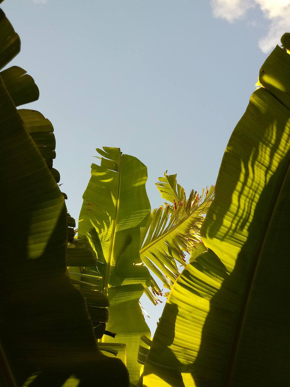 Untitled Untitled